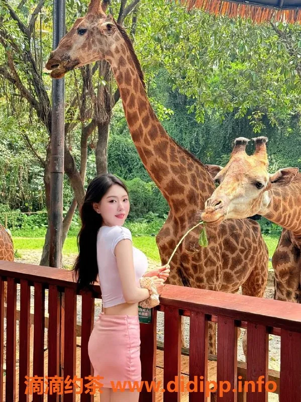 深圳楼凤资源信息,福田薯条，2500元单人服务，4500元双人服务