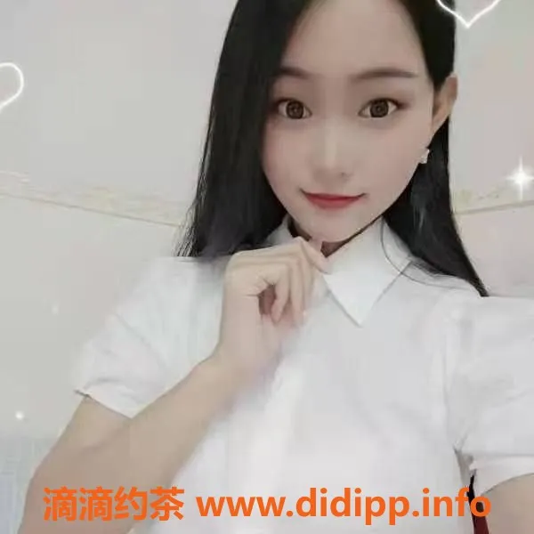 中山楼凤-三角地区超优质快餐服务，300元起