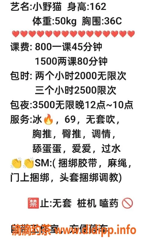 广州楼凤-天河小野猫，800p，SM嫩妹服务体验