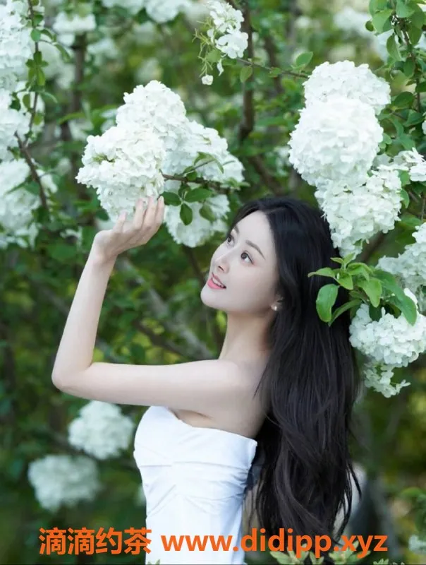 成都楼凤资源信息,武侯区御姐车#QQ，身材诱人，体验优惠