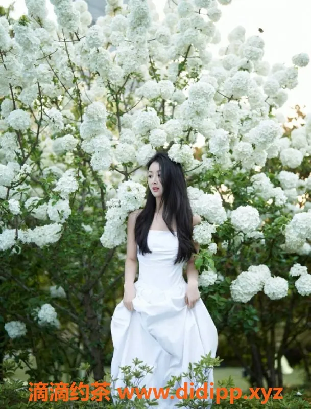 成都楼凤-武侯区御姐车#QQ，身材诱人，体验优惠