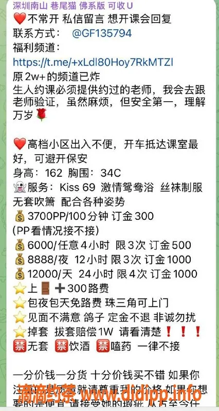 广州楼凤-天河御姐巷尾猫，3700PP超值体验