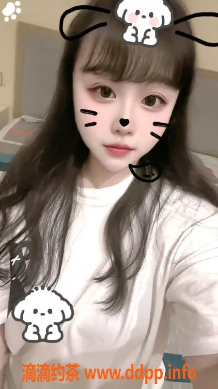 中山楼凤-江门蓬江优质快餐服务，300元起！