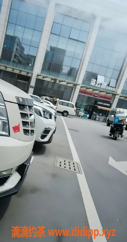 烟台楼凤-莱山区小夜猫，服务优质，体验非凡！