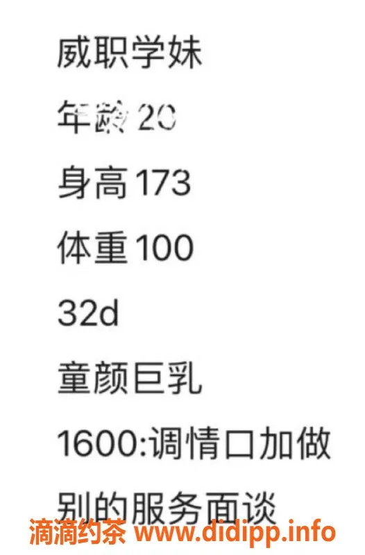 烟台楼凤资源信息,威海王起司，童颜巨乳外卖员，16起价