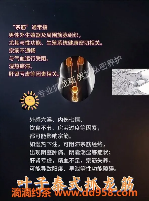 中山抓龙筋-沙溪地区叶子，泰式抓龙筋服务，价格350起