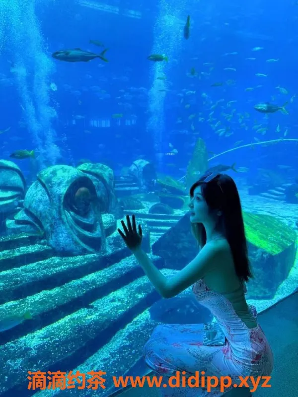 东莞楼凤资源信息,东莞韩小美：年轻紧致，服务到位