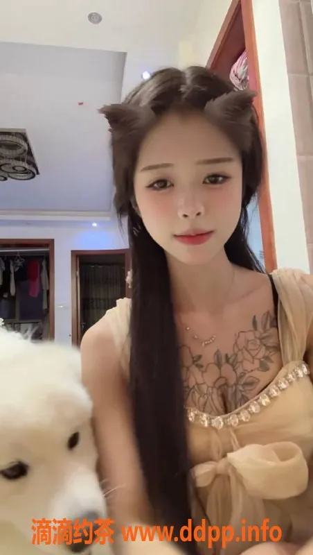 杭州楼凤-拱墅小婷：巨乳嫩妹，性价比超高