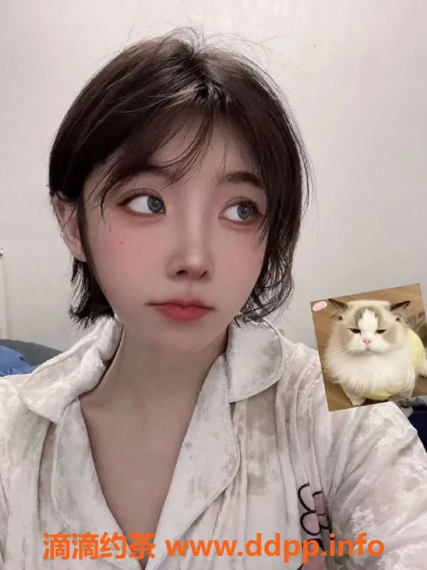 北京上门服务资源信息,朝阳k9狗宝宝，162cm、46kg，C罩杯，千元档服务