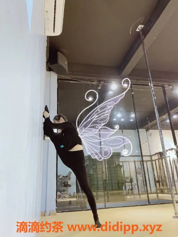 深圳楼凤-深圳南山潮汕新人 行走的旅行箱