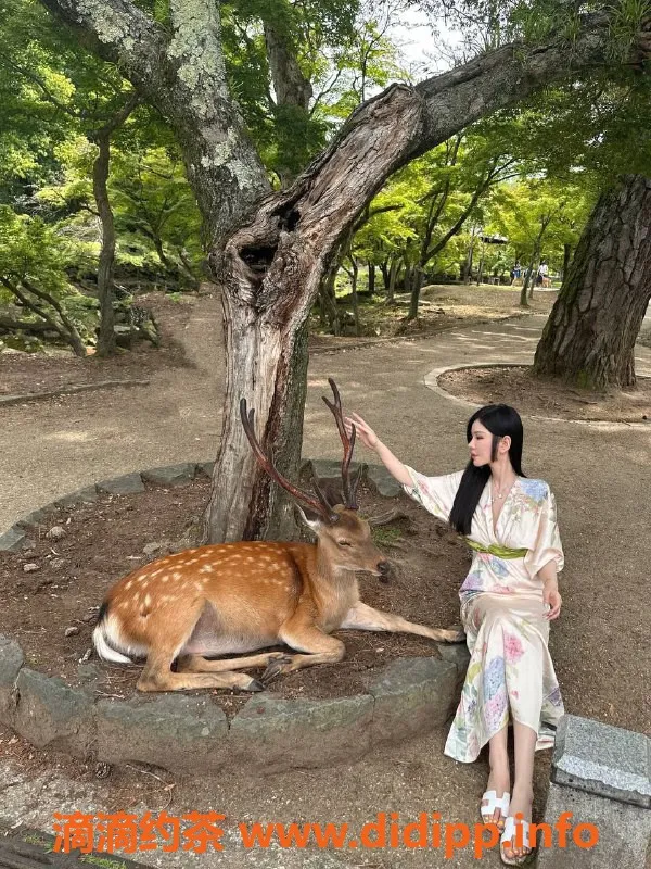 上海楼凤-徐汇小盒子，身高163，44g，1299p起