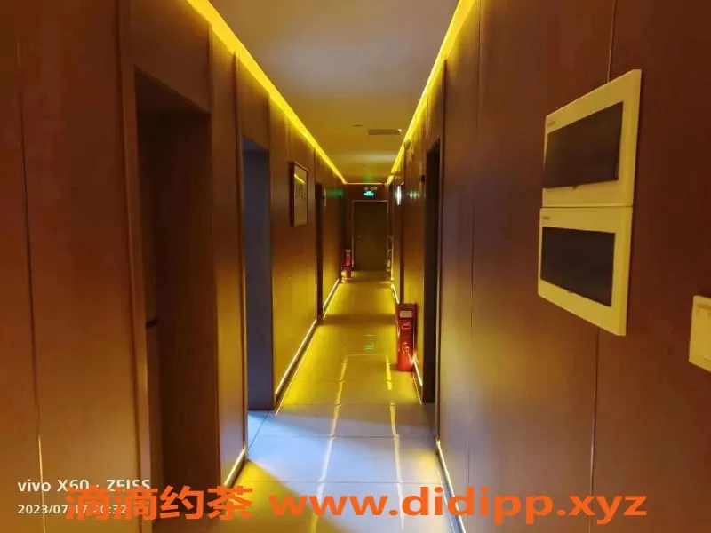 长沙spa会所资源信息,维也纳酒店：性感技师激爽体验，限时优惠仅379元！