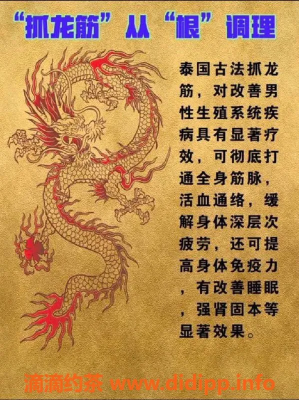 上海抓龙筋-浦东云沐抓龙筋，500元起，地铁直达