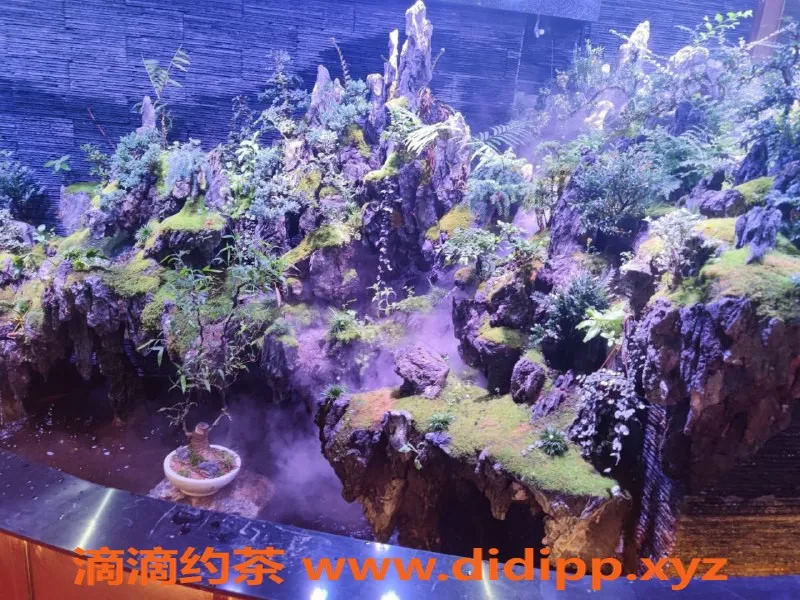 厦门spa会所资源信息,湖里万达附近晴会所，专业按摩服务，预约方便