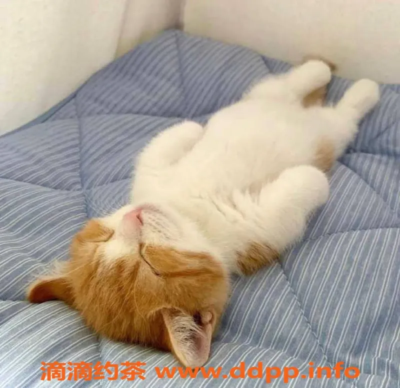 南宁楼凤-南宁大学路幼幼，优质正妹600元/1次