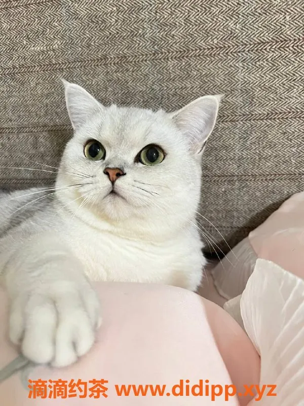 南宁楼凤资源信息,南宁大学路幼幼，优质正妹600元/1次