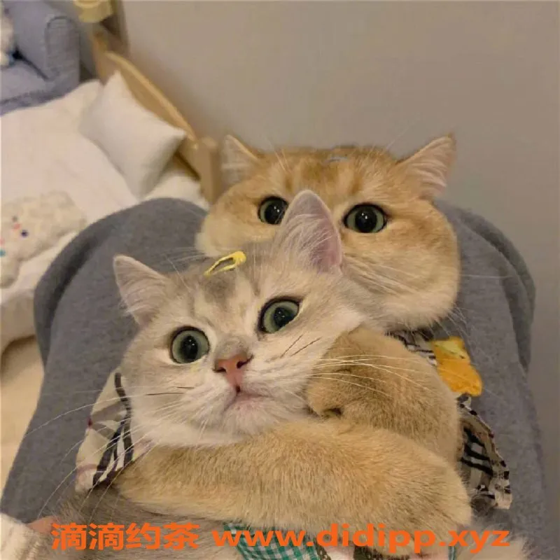 南宁楼凤-南宁大学路幼幼，优质正妹600元/1次