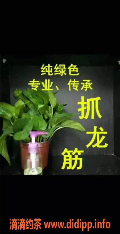 深圳抓龙筋-南山小研抓龙筋 600p等你来体验