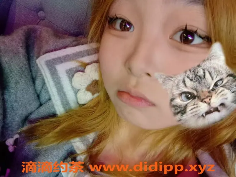 成都楼凤资源信息,大丰小蛇，18岁165cm嫩妹，高颜值体验，500元起