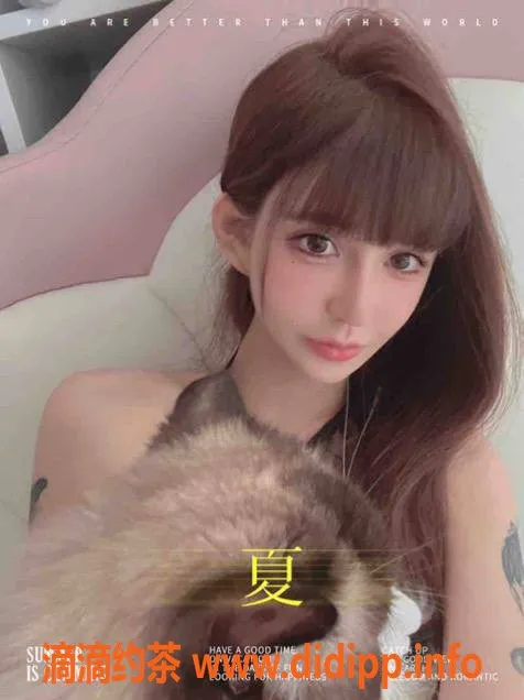 南京楼凤资源信息,秦淮区小不点，160身高C+奶，热情服务