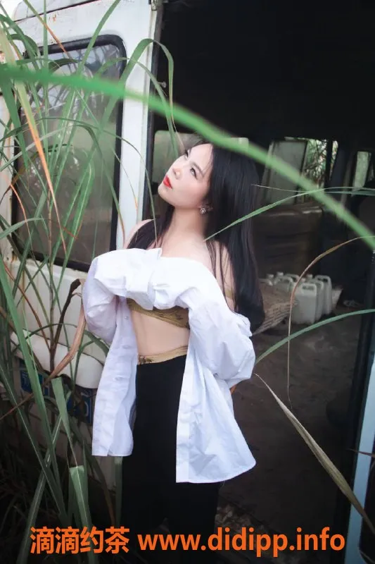 上海楼凤资源信息,浦东菲菲，160cm，600元消费体验