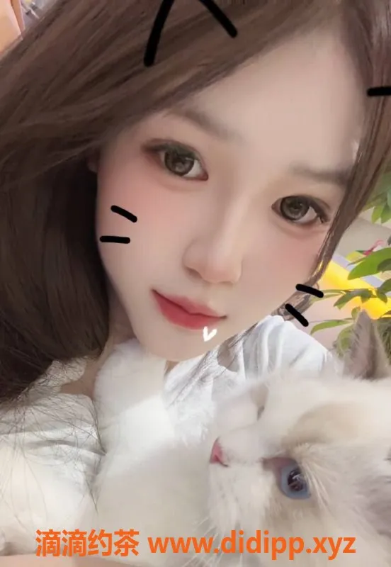 成都楼凤资源信息,成华区18岁小妹，B+身材，超甜服务