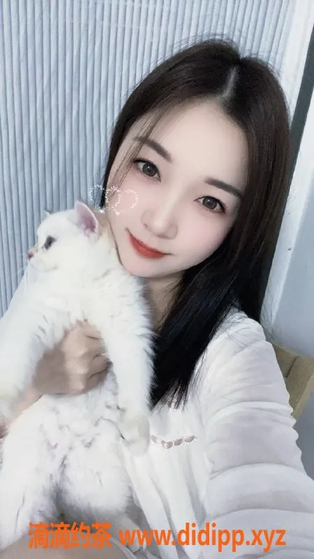 深圳楼凤资源信息,福田柚子，800元体验，超赞服务！