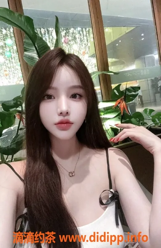 东莞楼凤资源信息,东莞优选莫林，清纯微胖，体验超赞