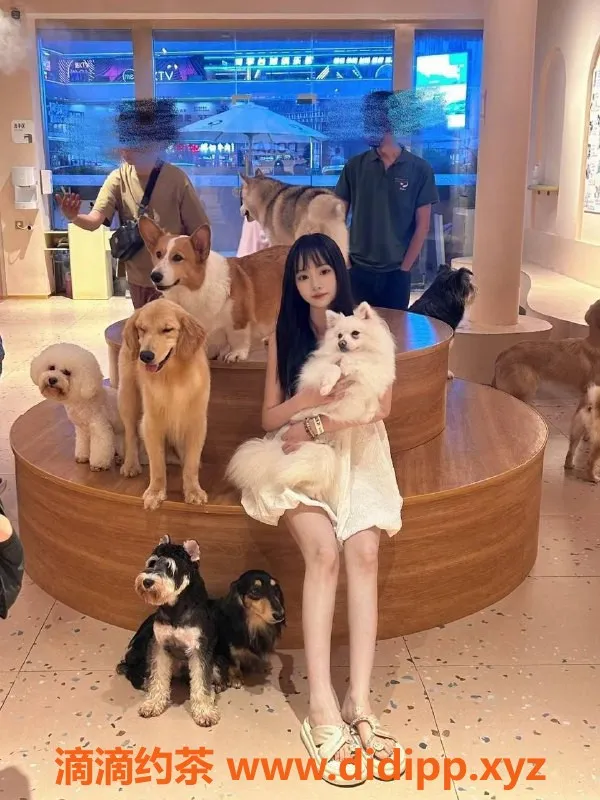 长沙楼凤-雨花区优质服务，95年cc，162/51kg/36b！