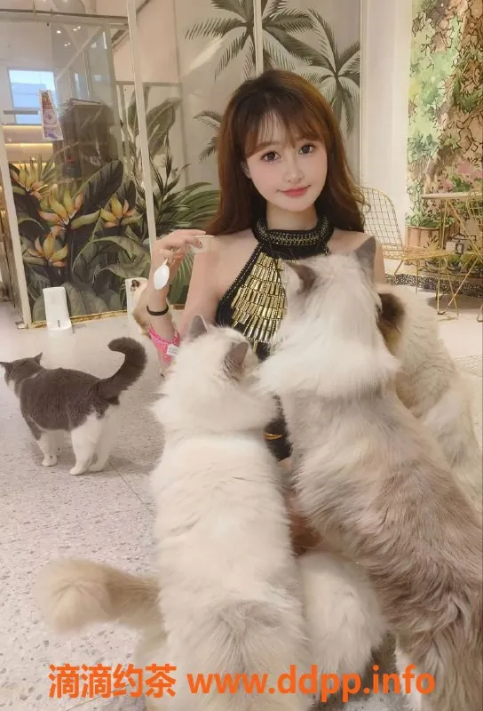 郑州楼凤-晚风老师回郑州，优质服务等你来体验