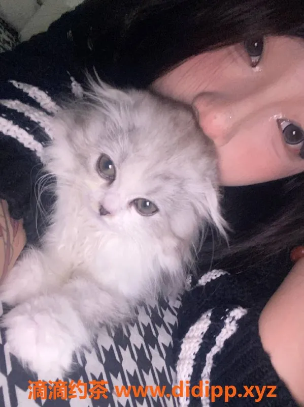 深圳楼凤-宝安霞霞，1200元起，超值服务等你体验！