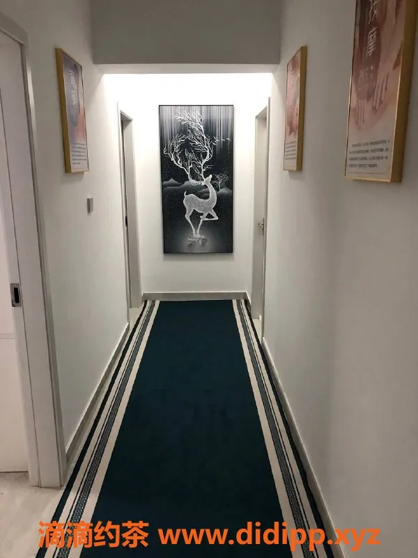 厦门楼凤-莲公寓安德鲁森：舒适泄火体验，原价599现450